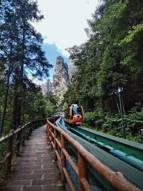 십리화랑(모노레일왕복)